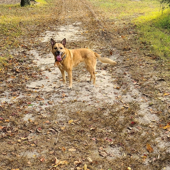 Meet Your Posher - Picture 9 of 11